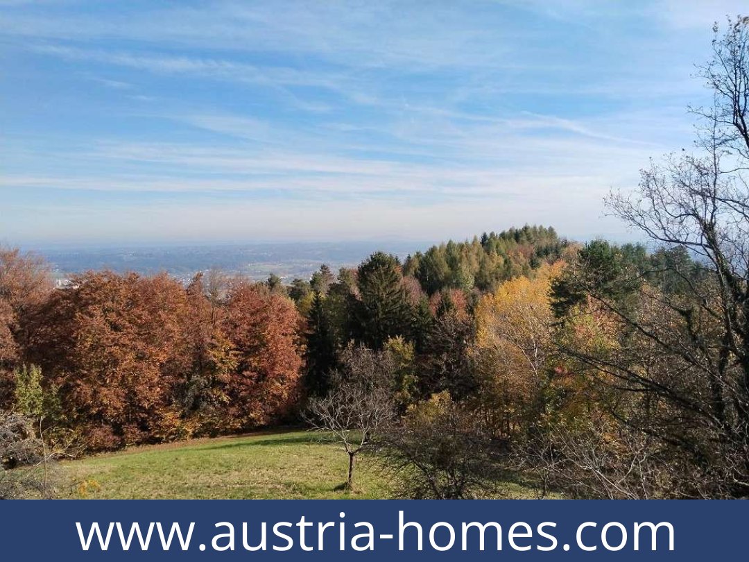 austria-homes-bad gams-8524-20251010221925-0032401025.jpg austria-homes-bad gams-8524-20251010221925-0032401025.jpg